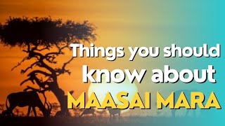 Things To Know when visiting Maasai Mara In Kenya African Travel Diaries [upl. by Bridge]