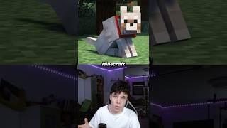 So sieht Minecraft für deinen Hund aus😭 [upl. by Simaj]