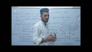 Golgi bodyGolgi apparatus class 11 bio explain by Tariq Roghani in Urdu Hindi language [upl. by Ham]