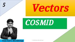 Cosmid  Clonning Vectors  Hindi [upl. by Eesyak]