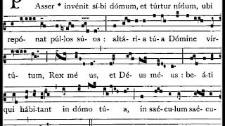 COMMUNIO  Passer invenit sibi domum [upl. by Mcgrath]