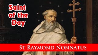 St Raymond Nonnatus  Saint of the Day with Fr Lindsay  31 Aug 2024 [upl. by Hedley373]