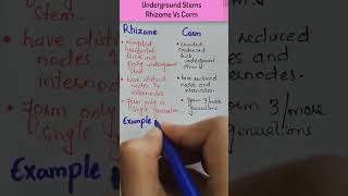 Difference Between Rhizome and CormUnderground Stems Rhizome vs Corm biology botany [upl. by Nabru]