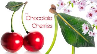 Chocolate Cherries [upl. by Fifine794]