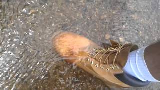 Bota timberland yellow boot 6 pol premium waterproof review [upl. by Minetta]