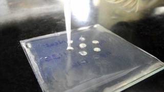 Ouchterlony Double Diffusion for Antibody Titration  Amrita University [upl. by Noivaz645]