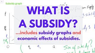 What is a SUBSIDY Subsidies EXPLAINED [upl. by Sweet]