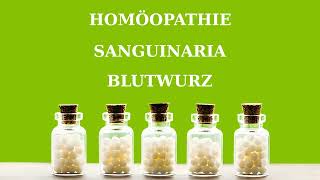 Homöopathie Sanguinaria  Blutwurz [upl. by Laud]