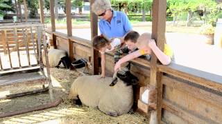 Discovery Days at Centennial Farm [upl. by Ann-Marie]