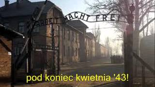 SABATON Inmate 4859 napisy PL YouTube [upl. by Eerazed]