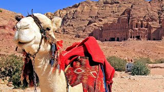 JORDANIA Turismo  JORDAN Travel  Tourism Petra Wadi Rum Red Sea Dead Sea Jerash tour Aqaba Amman [upl. by Jasen]