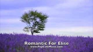 Romantic Fur Elise by Beethoven Rearranged by Miranda Wong [upl. by Hcirdeirf]