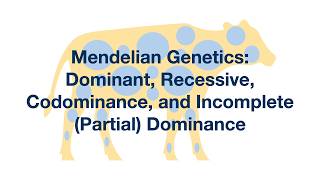 Mendelian Genetics Dominant Recessive Codominance and Incomplete Dominance Explained [upl. by Quince]