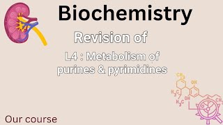 revision of L4bio  Metabolism of purines amp pyrimidines renal 42 [upl. by Anelhtac312]