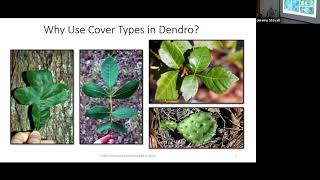 Forest Covertypes  SFA Dendrology Lecture FORS 2319 [upl. by Shanta]