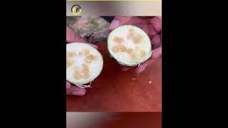 😱 கடைசி வரை பாருங்க  Dont Eat This Fruits  Fact Flow Tamil short facts [upl. by Nanaek]