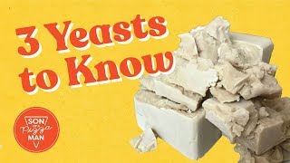 WHY YOUR BREAD DIDN’T RISE  HOW TO FIND YEAST IS ACTIVE [upl. by Whetstone]