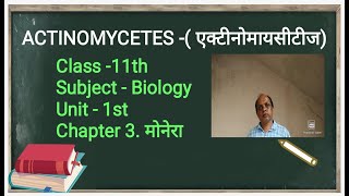 Actinomycetes  Mould Bacteria  In Hindi  Biology Extra [upl. by Nylear]