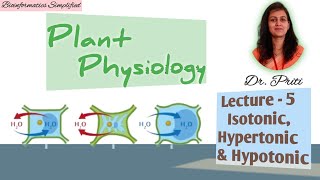 Plant Physiology I Lecture 5 Hypertonic Hypotonic amp Isotonic solutions I Bioinformatics Simplified [upl. by Aramas971]