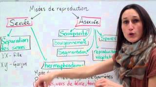 20 Sciences 9e Modes de reproduction [upl. by Panta]