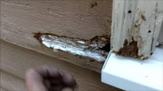 DIY Repairing a Water Damaged Window Sill [upl. by Ehrenberg]