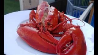 COMMENT CUIRE LE HOMARD créole haitienne [upl. by Yelroc]