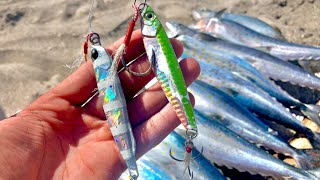 COMO pescar de PLAYA  pesca de ORILLA con JIGS  pescando en BAJA CALIFORNIA SUR [upl. by Paola]