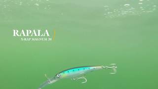 How Lures Swim Rapala XRap Magnum 20 [upl. by Cowan109]