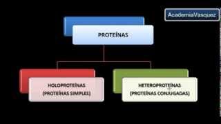 Holoproteínas o Proteínas Simples [upl. by Razid661]