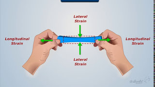 Definition of Poissons Ratio  Strength of Materials [upl. by Sivat]