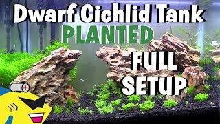 DWARF CICHLID PLANTED AQUARIUM SETUP [upl. by Rawden]