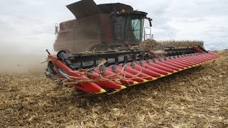 24 Row Corn Head Geringhoff Rota Disc [upl. by Beryl]