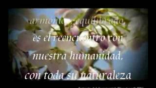 Enigma Return To Innocence Lyrics subtitulado  Retorno a la Inocencia [upl. by Arvell]