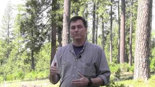 Wildlife Biologist talented Spotted Owl Calls [upl. by Neehahs]