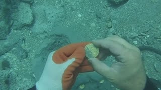 Lost treasure found in the San Jose galleon in Colombia [upl. by Leicester743]