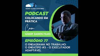 O Eneagrama no Trabalho O Eneatipo 3  O Executador Adaptável  COLOCANDO EM PRÁTICA 077 [upl. by Neret]