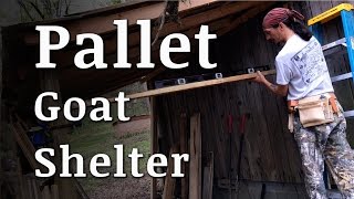 Build a Goat Shelter With Pallets [upl. by Cooper207]