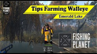 Farming Walleye  Emerald Lake  Fishing Planet Indonesia [upl. by Senhauser]