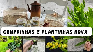 comprinhas para cozinha e plantinhas novas [upl. by Hashimoto]