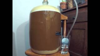 Beer Fermentation Time Lapse [upl. by Macfarlane]