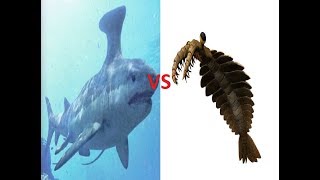 Stethacanthus vs Anomalocaris [upl. by Sarge140]