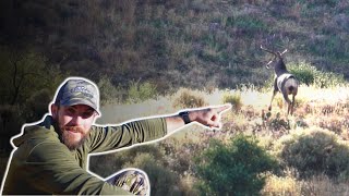 Chasing Arizona’s GIANT Muleys [upl. by Anneh]