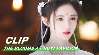 Clip Jingyi Finds Evidence To Prove Her Innocence  The Blooms At RUYI Pavilion EP32  如意芳霏  iQIYI [upl. by Ardnosal]