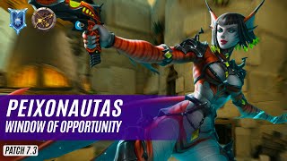 peixonautas SAATI PALADINS COMPETITIVE DIAMOND WINDOW OF OPPORTUNITY [upl. by Shoifet]