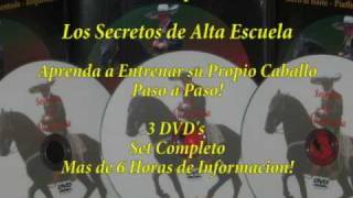 Los Secretos de Caballos Bailadores [upl. by Casey]