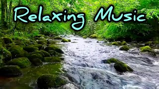 1 Hour Relaxing Piano Music amp Water Sounds for Study Stress Relief amp Sleep [upl. by Haiacim]