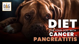 Pancreatitis Dog Diet for Cancer │ Dr Nancy Reese QampA [upl. by Hubie]