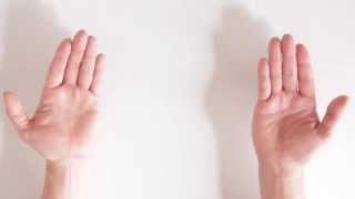 Instruction Videos for Obvious Things Clapping Hands [upl. by Annadiana]