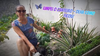 LIMPEZA DO CANTEIRO  OLHA COMO FICOU plantas quintal canteiro adubacao marciabartoluzzi [upl. by Swec]