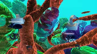 Multiuser VR opens new worlds for medical research [upl. by Mitchael]